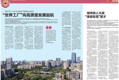 东莞人才入户政策详解与教育信息咨询服务指南